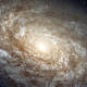 A portion of the galaxy known as NGC 4414 by the Hubble Space Telescope / Source of the original view: Wikipedia / Credit for the original view: HST, HHT, NASA.